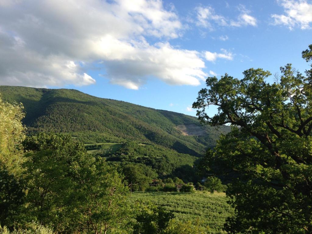 Agriturismo Nizzi Βίλα Ασίζη Εξωτερικό φωτογραφία