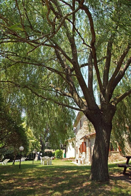 Agriturismo Nizzi Βίλα Ασίζη Εξωτερικό φωτογραφία